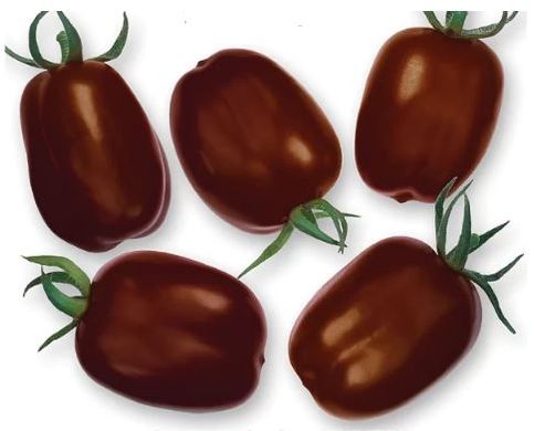 Семена томатов Де Барао черный Солнечный Март 25 шт 11.3165 фото