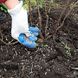Удобрение СУПЕР для голубики черники и растений кислых почв Vila 1 кг