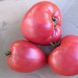 Насіння томатів Волове серце рожевий Gl Seeds 0,1 г
