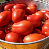 Насіння томатів Де Барао гігант червоний Добірні Семена 0,1 г - купити | Good Harvest