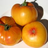 Насіння томатів Зірка Техасу Сонячний Март 12 шт - купити | Good Harvest