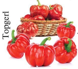Насіння перцю Топ дівчинка Сонячний Март 30 шт 11.3094 фото