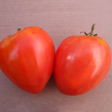 Семена томатов Бычье серце красный Gl Seeds 0,1 г 11.1990 фото