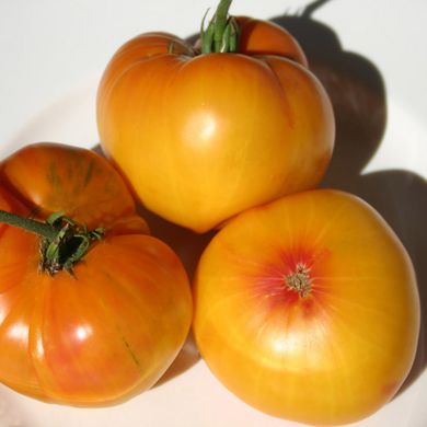 Семена томатов Звезда Техаса Солнечный Март 12 шт 11.2763 фото
