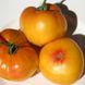 Насіння томатів Зірка Техасу Сонячний Март 12 шт