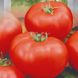 Насіння томатів Товстий Джек 0,1 г
