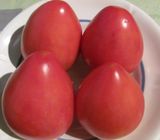 Насіння томатів Фатіма 0,1 г - купити | Good Harvest