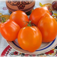 Насіння томатів Золото Ілліні 0,1 г 11.2042 фото