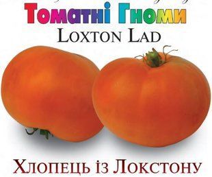 Семена томатов Парень из Локстона Солнечный Март 10 шт 11.3278 фото