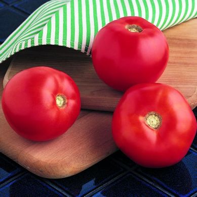 Семена томатов Бобкат F1 Syngenta 100 шт 11.0601 фото