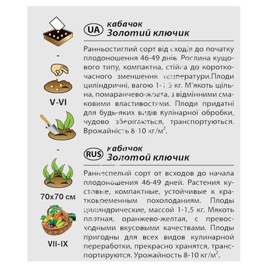 Семена кабачков Золотой ключик Агромакси 2 г 11.0948 фото