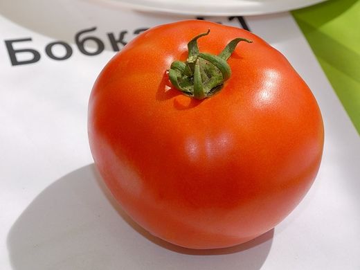 Насіння томатів Бобкат F1 Syngenta 100 шт 11.0601 фото