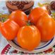 Семена томатов Золото Иллини 0,1 г