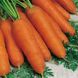 Семена моркови Коралл F1 Gl Seeds 20 г