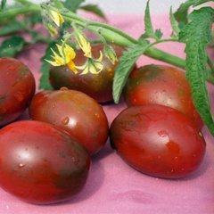 Насіння томатів Де Барао чорний 0,1 г 11.1368 фото
