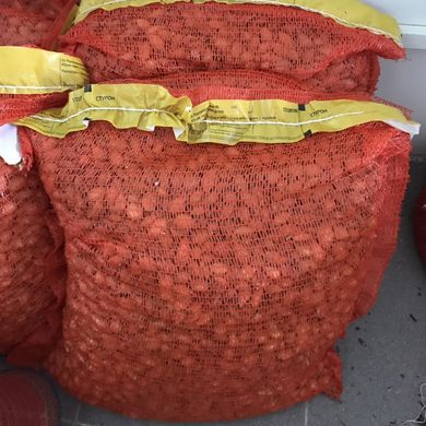 Стурон лук севок озимый Broer Нидерланды 0,5 кг 11.2571 фото