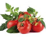 Насіння томатів Весняні заморозки Сонячний Март, 100 шт - купити | Good Harvest