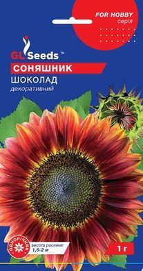 Семена декоративного подсолнечника Шоколад Gl Seeds 1 г 10.1885 фото