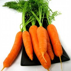 Насіння моркви Голландка Елітсортнасіння 10 г