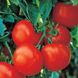 Насіння томатів Чумак Gl Seeds 0,25 г
