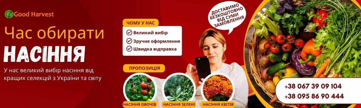 Насіння овочів, квітів, зелені