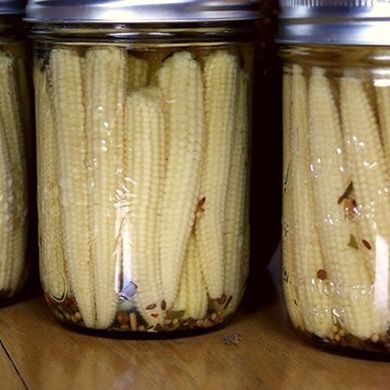 Семена кукурузы Мініпоп 1 г 11.1034 фото