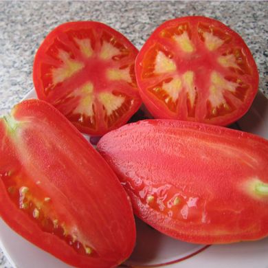 Насіння томатів Петруша Огородник 0,1 г 11.2290 фото