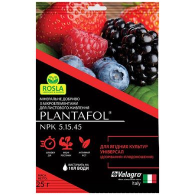 Удобрение PLANTAFOL для ягодных культур Valagro 25 г 13.0195 фото