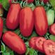 Насіння томатів Арабеска Сонячний Март 100 шт