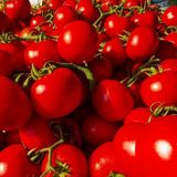 Насіння томатів Солероссо F1 Nunhems Zaden 20 шт - купити | Good Harvest