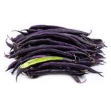 Насіння квасолі спаржева фіолетова Блаухільде кучерява 10 г - купити | Good Harvest
