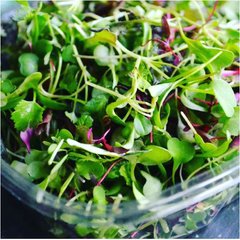 Смесь салатов семена микрозелени 5 г