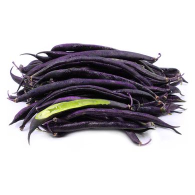 Семена фасоли спаржевая фиолетовая Блаухильде вьющаяся 10 г 11.1597 фото