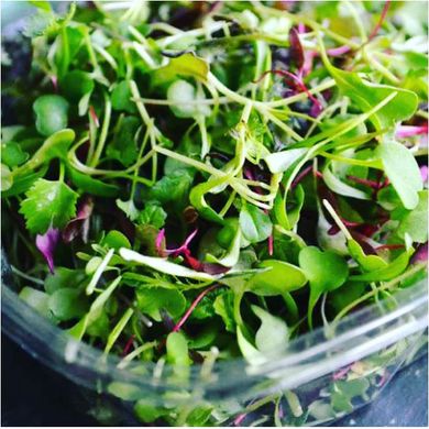 Суміш салатів насіння мікрозелені 5 г 19.0340 фото