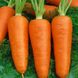 Насіння моркви Зимовий нектар 2 г
