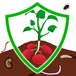 Защита растений Протравители, обработка перед посадкой — купить в интернет магазине Good Harvest