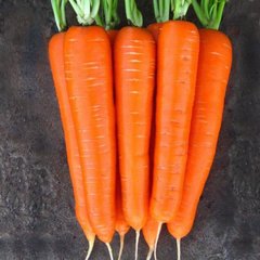 Насіння моркви Лагуна F1 Nunhems Zaden 400 шт 11.1847 фото