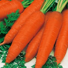 Семена моркови Кампино 2 г