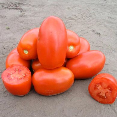 Насіння томатів Класик F1 Nunhems Zaden Садиба Центр 50 шт 11.2281 фото