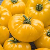 Насіння томатів У десятку Агромаксі 0,4 г - купити | Good Harvest