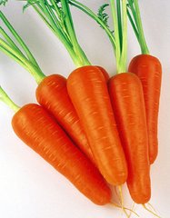 Насіння моркви Абако F1 Seminis 400 шт