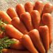 Насіння моркви Роял Шантане 2 г