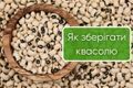Як зберігати квасолю дізнатися більше