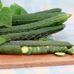 Насіння огірків Китайське диво Gl Seeds 0,5 г 11.1518 фото
