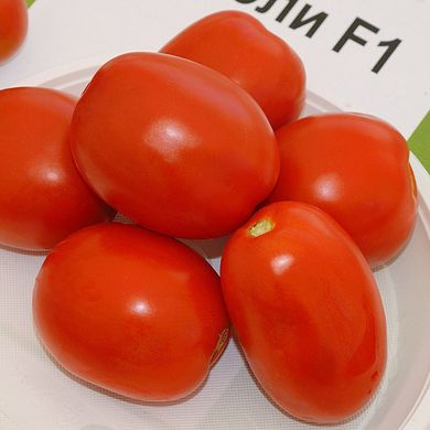 Семена томатов Чибли F1 Syngenta Садыба 100 шт 11.2065 фото