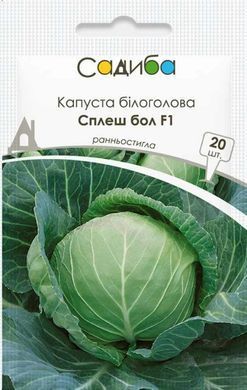 Семена капусты Сплеш бол F1 Hazera 20 шт 11.3429 фото