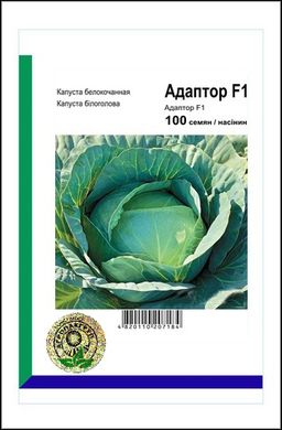 Семена капусты Адаптор F1 Syngenta Агропак 100 шт 11.0467 фото
