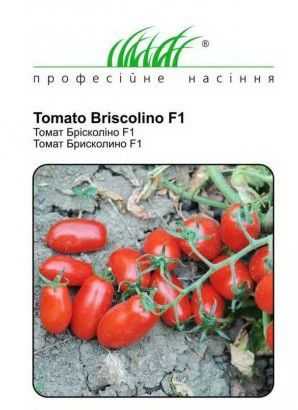 Томат Брисколино: описание сорта помидоров, характеристики, выращивание и болезни - отзывы