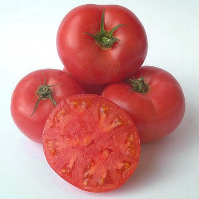 Насіння томатів Зінуля Агромаксі 0,4 г 11.2000 фото