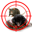 Товари для дому Засоби від мишей і щурів — купити в інтернет магазині Good Harvest